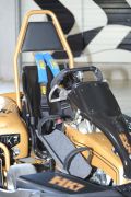 BehindertenkartHubiKart 6